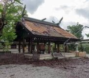 拝殿檜皮葺屋根の剥離