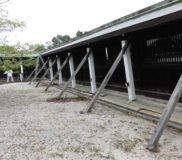 御本殿 瑞垣の傾斜