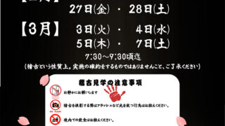 荒潮部屋朝稽古見学について